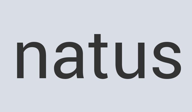 Aerodynamic Copper Fork 3D